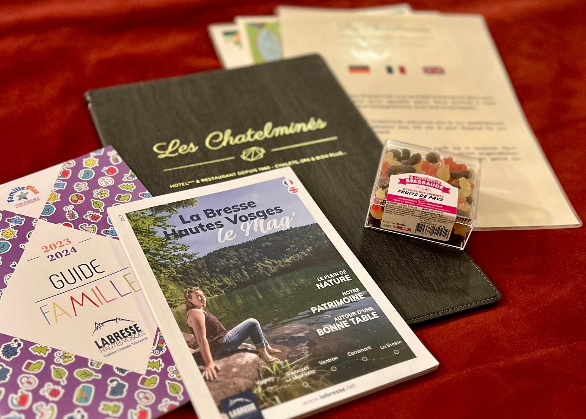 Logis Hotel, Chalets Et Restaurant Les Chatelmines Ла-Бресс Экстерьер фото