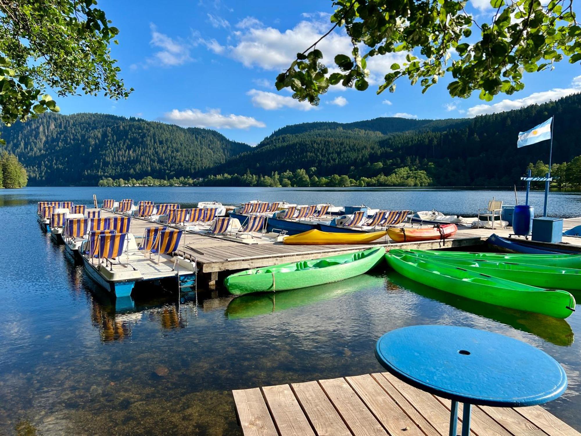 Logis Hotel, Chalets Et Restaurant Les Chatelmines Ла-Бресс Экстерьер фото