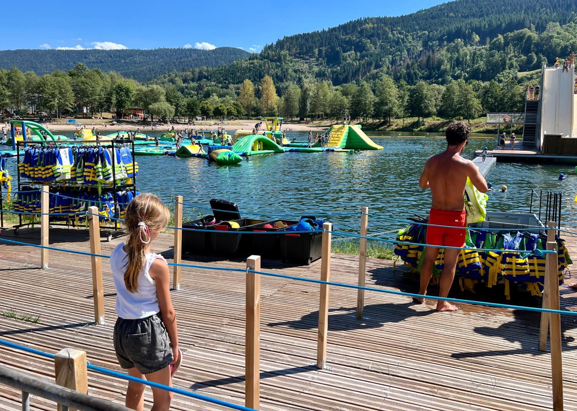 Logis Hotel, Chalets Et Restaurant Les Chatelmines Ла-Бресс Экстерьер фото