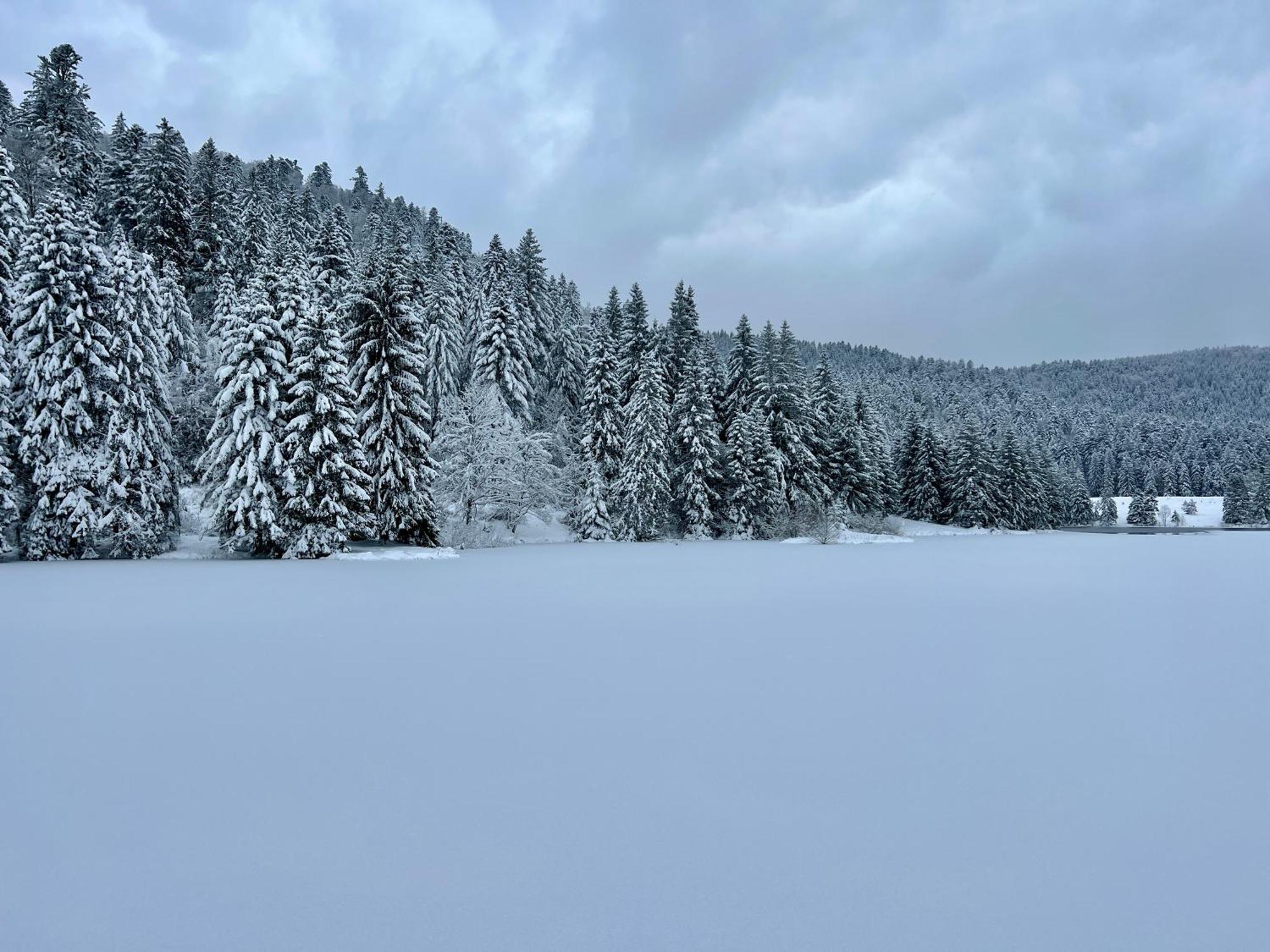 Logis Hotel, Chalets Et Restaurant Les Chatelmines Ла-Бресс Экстерьер фото