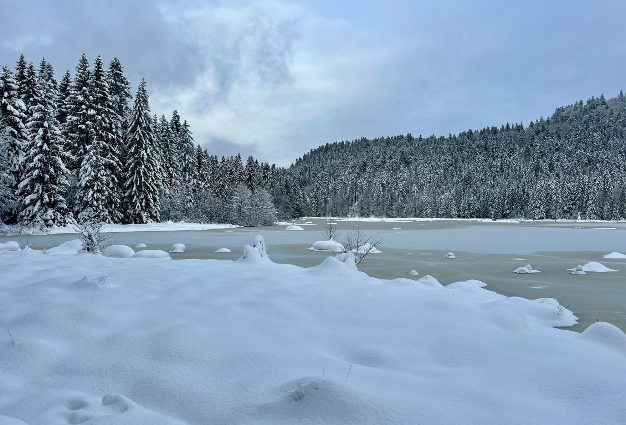 Logis Hotel, Chalets Et Restaurant Les Chatelmines Ла-Бресс Экстерьер фото